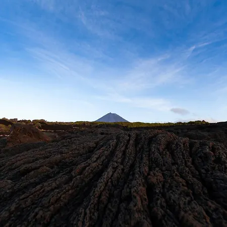 Dom wakacyjny Adega Menezes *