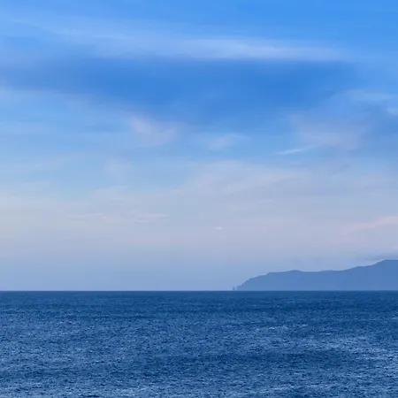 Adega Menezes * Lajido