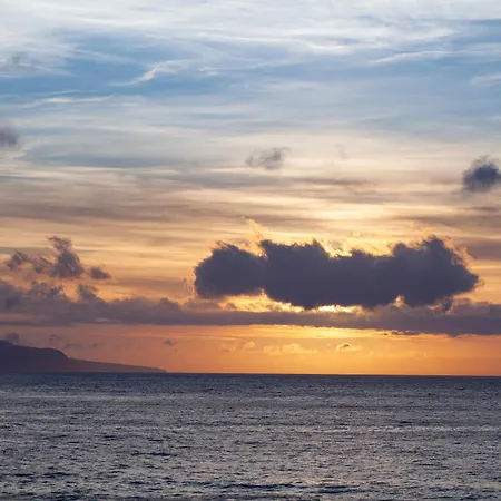 Adega Menezes * Lajido