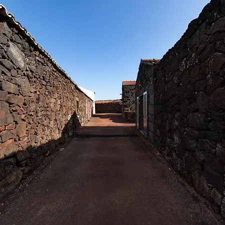 Adega Menezes Hébergement de vacances