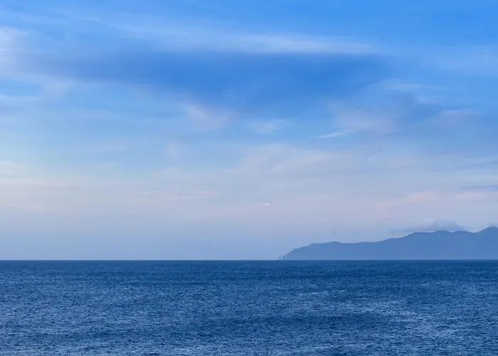 Adega Menezes * Lajido