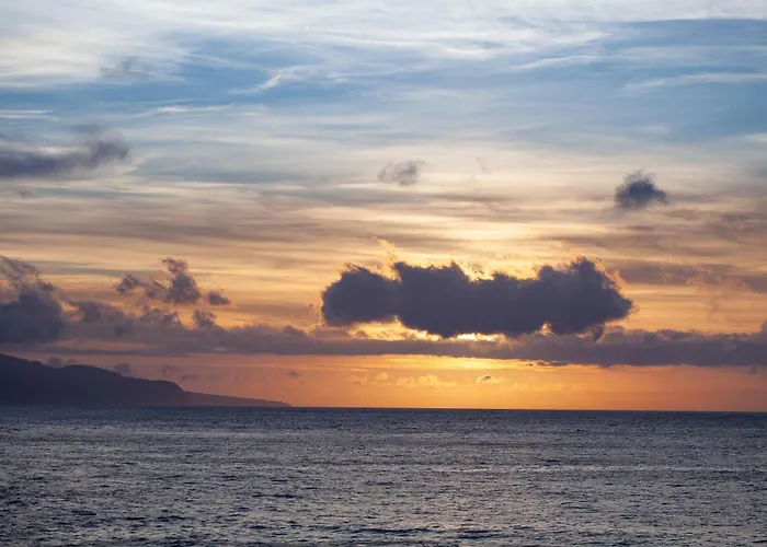 Adega Menezes * Lajido