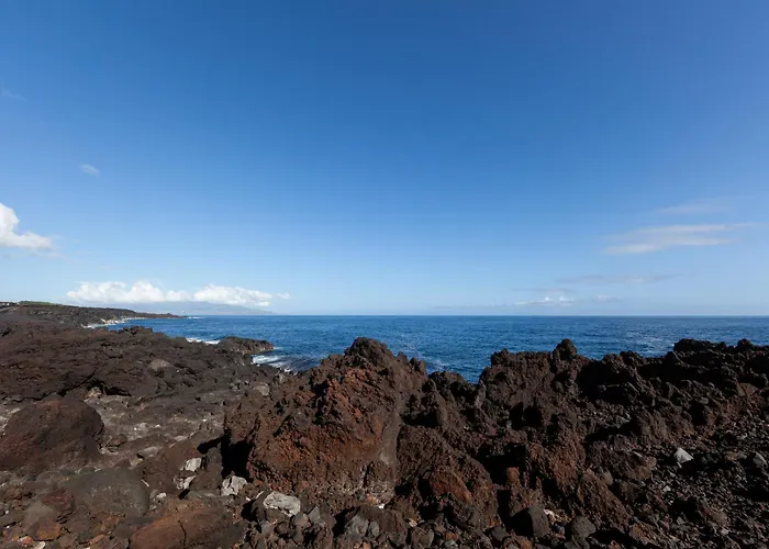 Adega Menezes Lajido