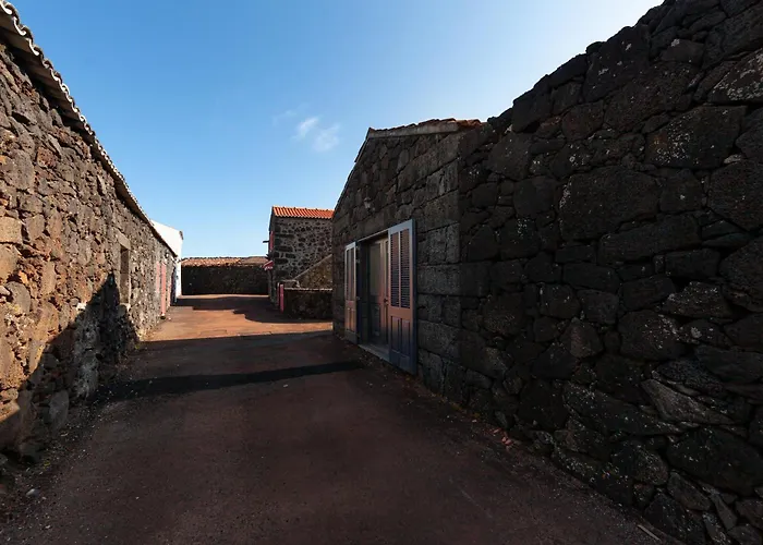 Adega Menezes Holiday home *