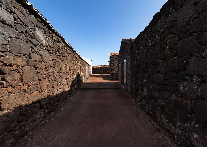 Adega Menezes Holiday home